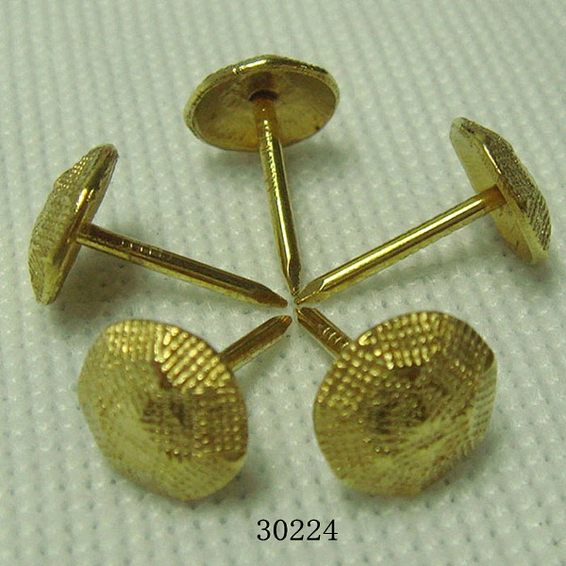 Brass Nails Upholstery Tacks Decorative Gilt Nail 11x17mm