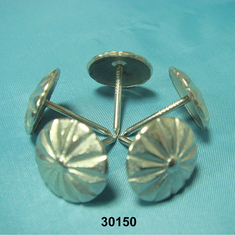 Furniture upholstery decorative nail