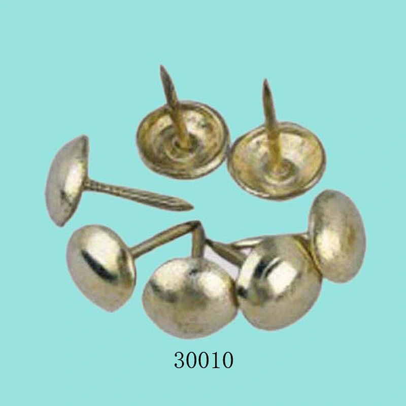 Golden color sofa nails 30010