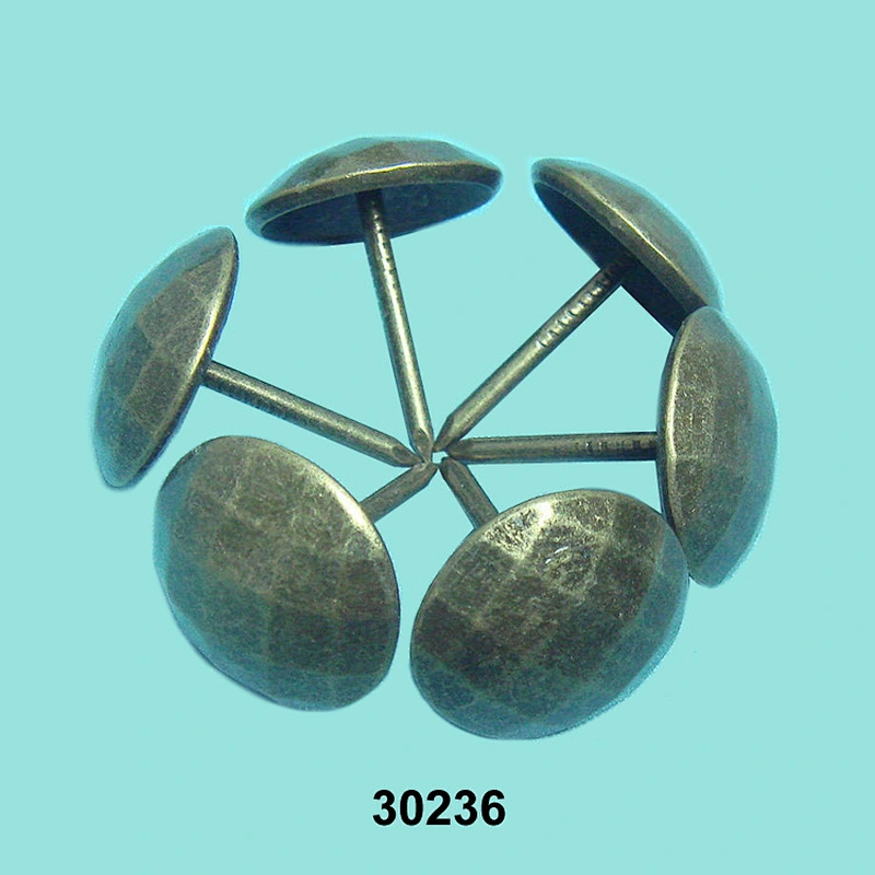 Wholesales Turtle Shell Pattern Unique Decorative Upholstery Sofa Nail