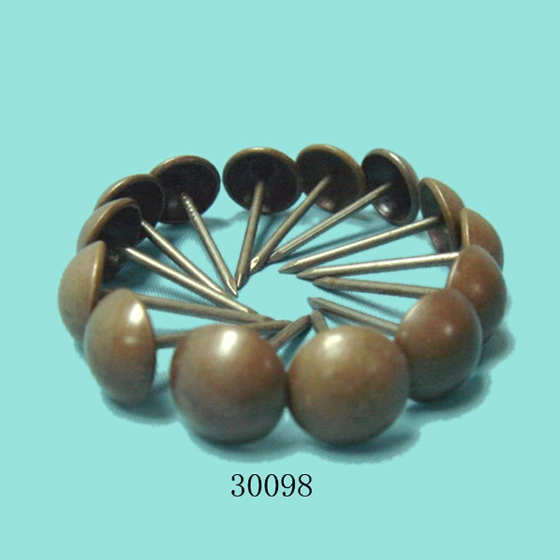 Old copper nails 30098