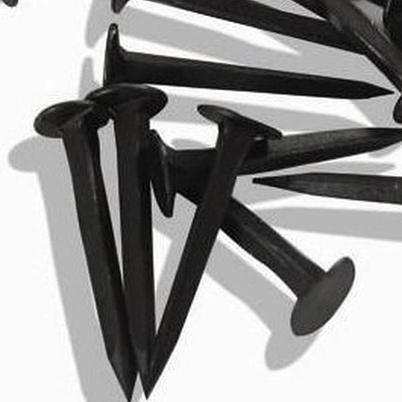Shoe Tack Nails