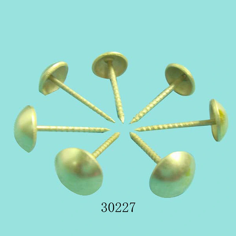 upholstery decorative sofa nail