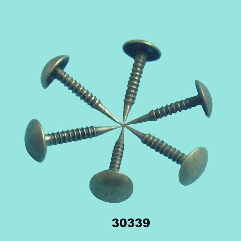 Decorative Bronze sofa nails Metal shoe nails