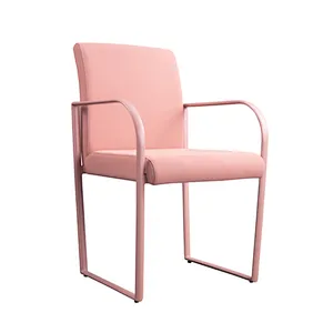 DINING CHAIR CS6005, HOTSALE CHAIR, COLORFUL CHAIR, NEW CHAIR