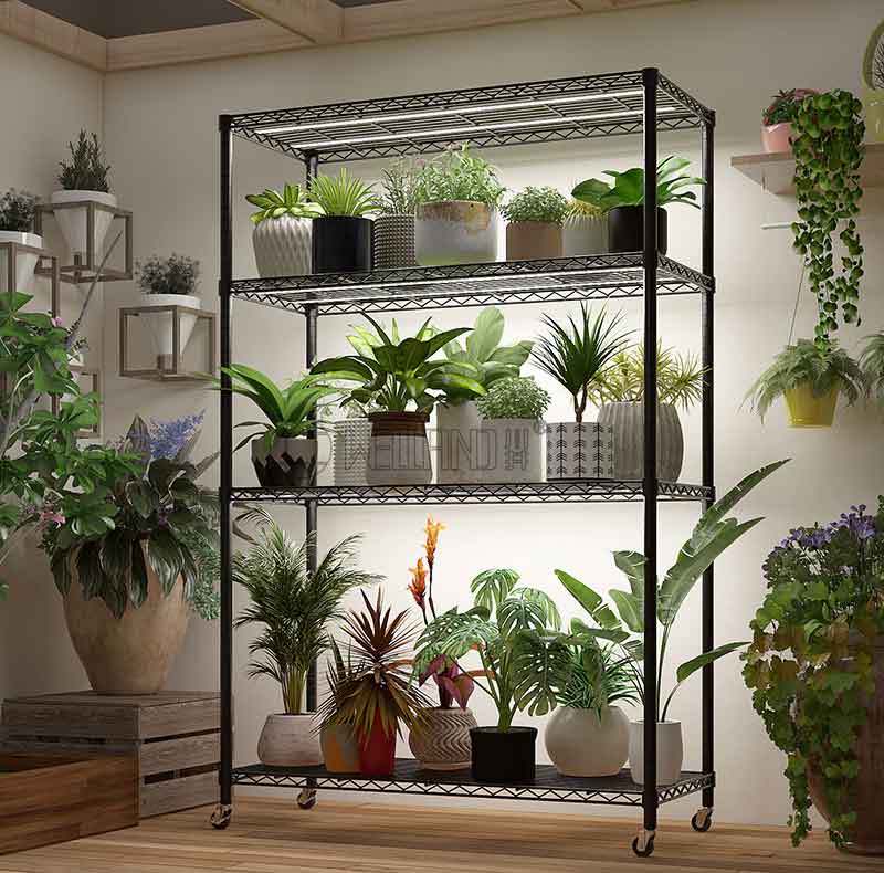Bset Wire Shelving