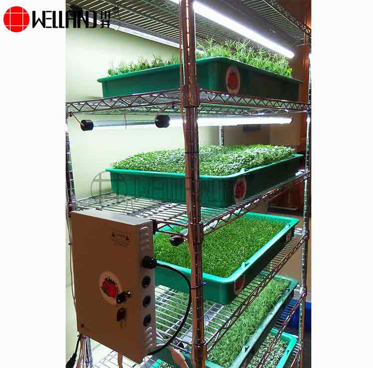 Microgreens Growing Wire Shelving