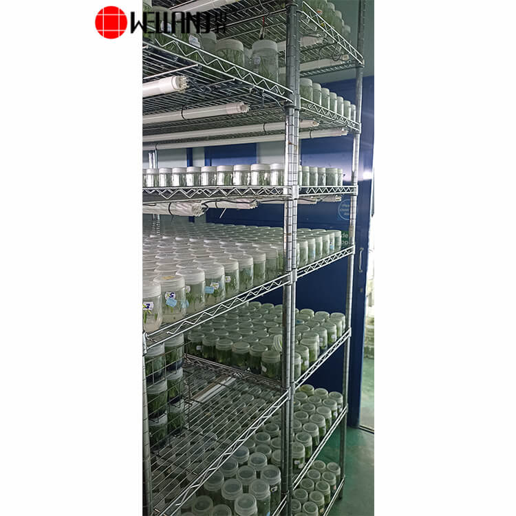 racks de cultivo vertical