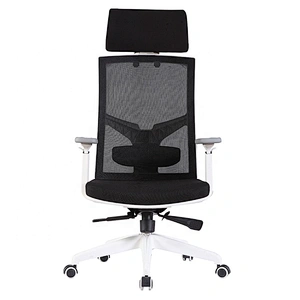 Ergonomic High Back Adjustable Swivel office Chair, Black Desk Mesh Office Chair with Armrest