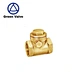 1 2 inch brass  check valve