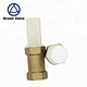 Green- Good Quality Best Price1/2  Brass Check/foot Valve With Plastic Filter Net