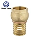 Brass foot valve for pump