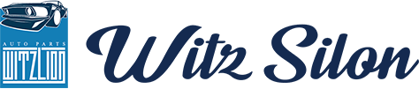 WITZ SILON TECHNOLOGY DEVELOPMENT CO., LTD.