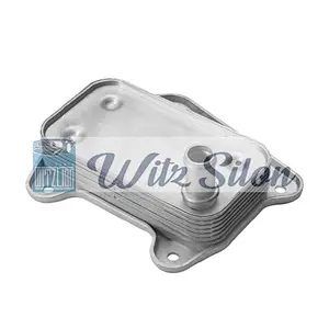 A6461880301 A6121880101 5080402AA A6111880301 6461880301 6121880101 6111880301 Oil Cooler