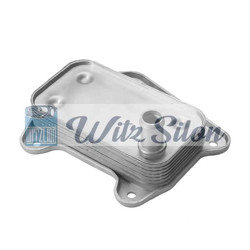 A6461880301 A6121880101 5080402AA A6111880301 6461880301 6121880101 6111880301 Oil Cooler
