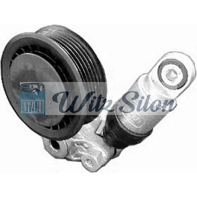 TENSIOAN BEARING SET 534001110 BENZ SPRINTER