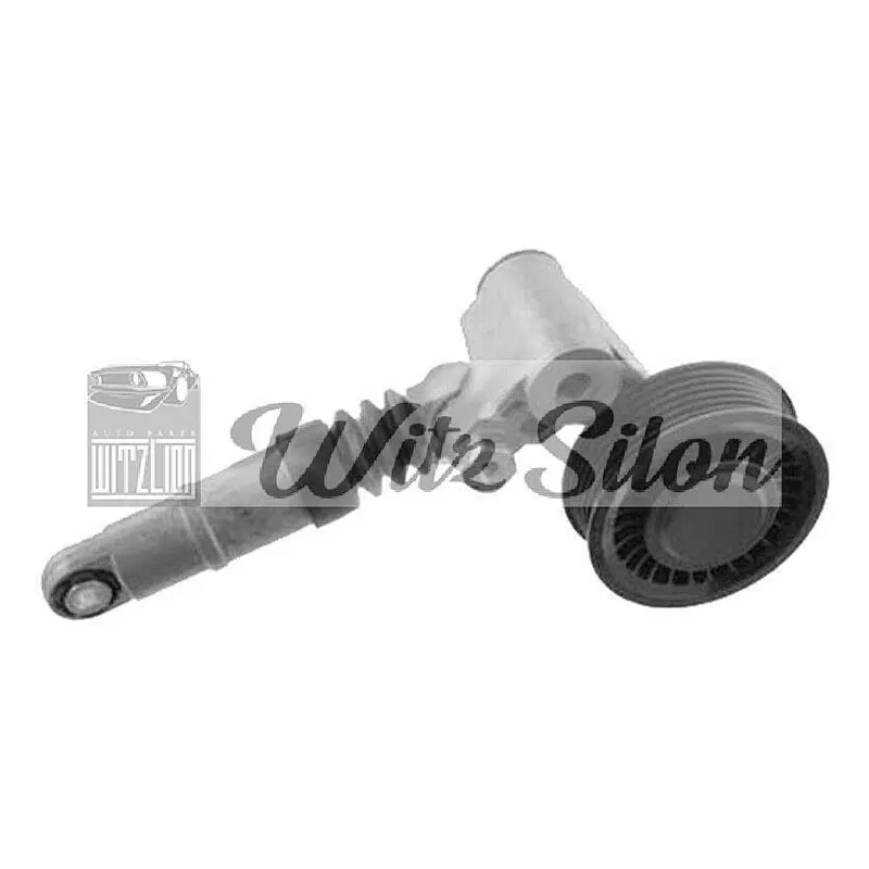 TENSIONER & PULLEY 076145261A VOLKSWAGEN Crafter 30-35 BUS / BOX 2.5 TDI 2006-2013