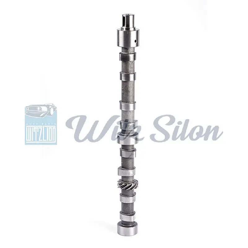 oemno MD-013676 4D31 PS-100 auto engine parts Custom chilled cast iron camshaft assy