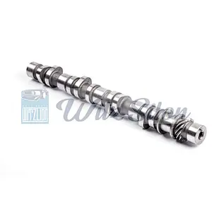 OEM NO PELICA MD-073744 MD-040760 MD-011476 4G63 auto engine parts Custom chilled cast iron camshaft assy