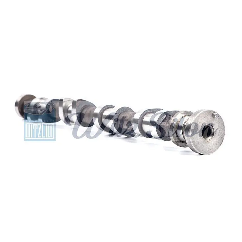 OEM NO 13001-01M00 auto engine CAM SHAFT