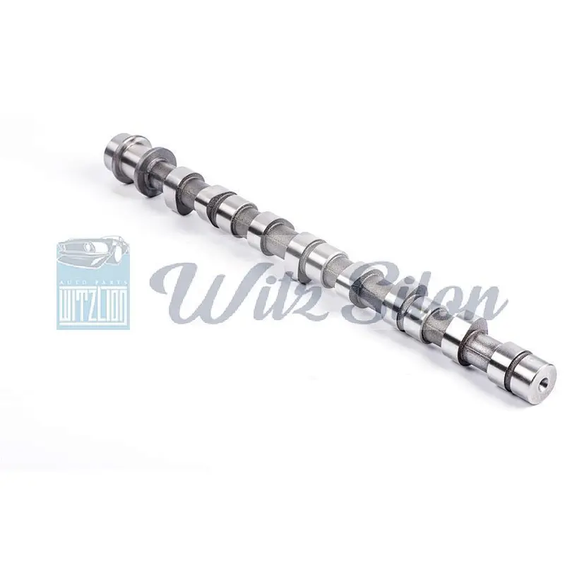 OEMNO PAJERO SHOGUN I MD-050140 MD-302333 MD-137163 4D56 L300 auto engine parts Custom chilled cast iron camshaft assy