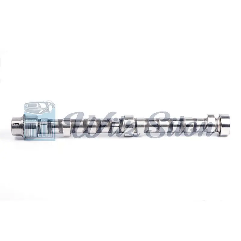 OEMNO 6207 41 1111 4D94 4D95 auto parts Custom chilled cast iron camshaft assy
