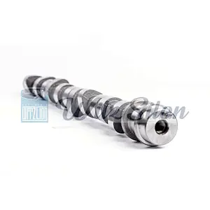 OEMNO PAJERO SHOGUN I MD-050140 MD-302333 MD-137163 4D56 L300 auto engine parts Custom chilled cast iron camshaft assy