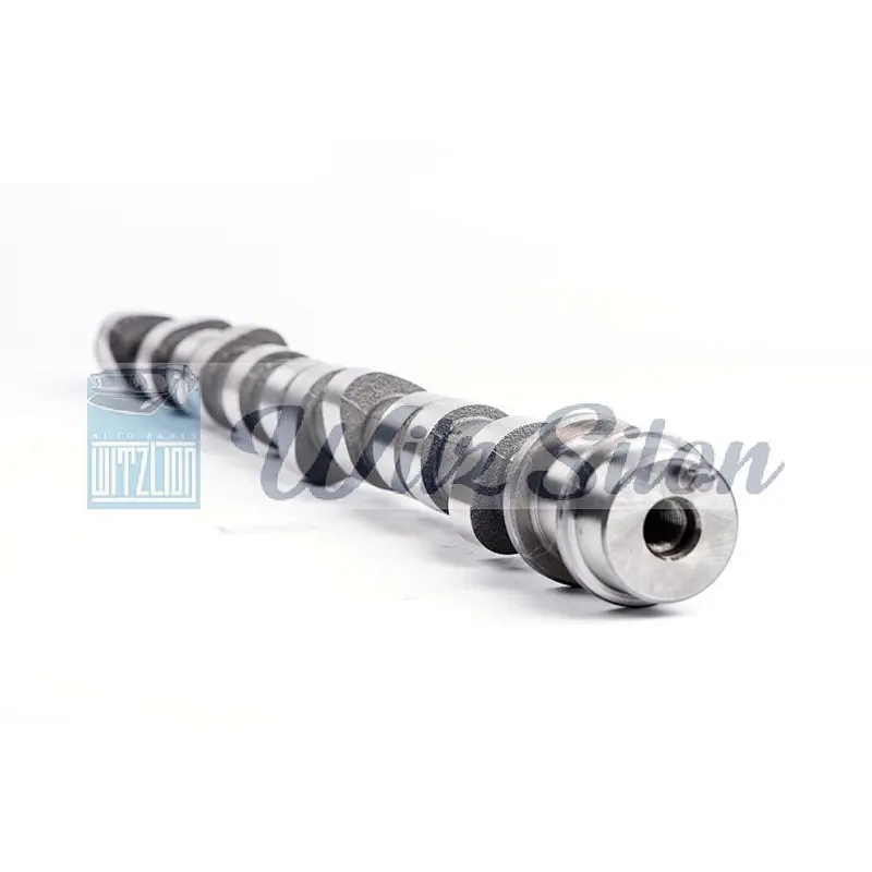 OEMNO PAJERO SHOGUN I MD-050140 MD-302333 MD-137163 4D56 L300 auto engine parts Custom chilled cast iron camshaft assy