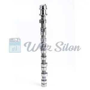 OEMNO PAJERO SHOGUN I MD-050140 MD-302333 MD-137163 4D56 L300 auto engine parts Custom chilled cast iron camshaft assy