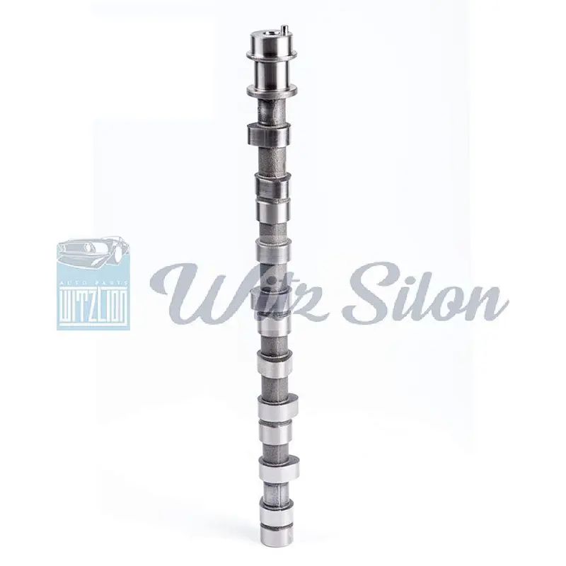 OEMNO PAJERO SHOGUN I MD-050140 MD-302333 MD-137163 4D56 L300 auto engine parts Custom chilled cast iron camshaft assy