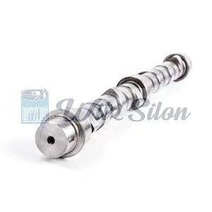 OEMNO 6207 41 1111 4D94 4D95 auto parts Custom chilled cast iron camshaft assy