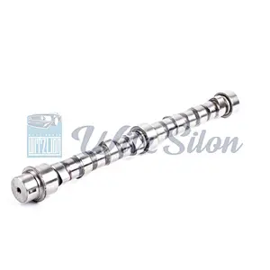 OEMNO 6207 41 1111 4D94 4D95 auto parts Custom chilled cast iron camshaft assy