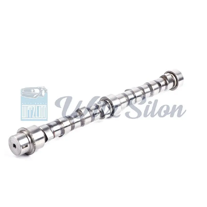 OEMNO 6207 41 1111 4D94 4D95 auto parts Custom chilled cast iron camshaft assy