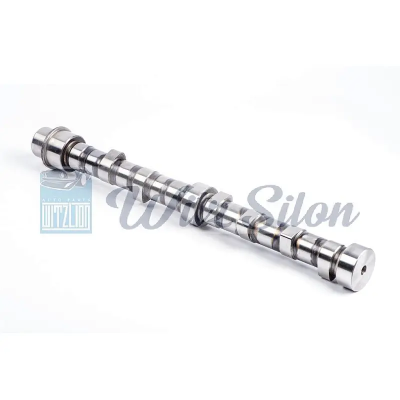 OEMNO 6207 41 1111 4D94 4D95 auto parts Custom chilled cast iron camshaft assy