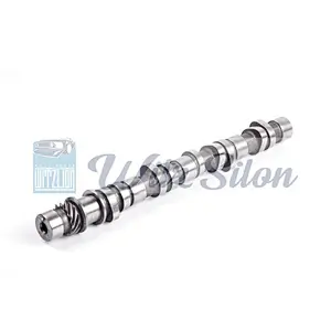 OEM NO PELICA MD-073744 MD-040760 MD-011476 4G63 auto engine parts Custom chilled cast iron camshaft assy