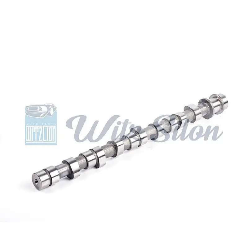 OEMNO PAJERO SHOGUN I MD-050140 MD-302333 MD-137163 4D56 L300 auto engine parts Custom chilled cast iron camshaft assy