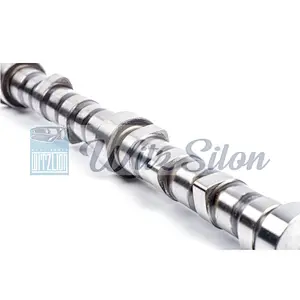 OEMNO 6207 41 1111 4D94 4D95 auto parts Custom chilled cast iron camshaft assy