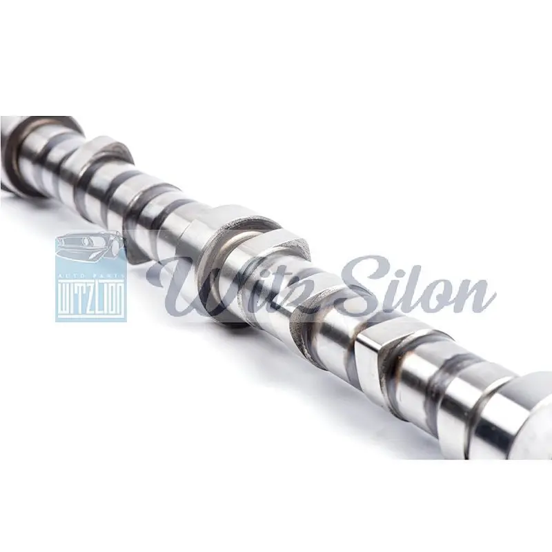 OEMNO 6207 41 1111 4D94 4D95 auto parts Custom chilled cast iron camshaft assy