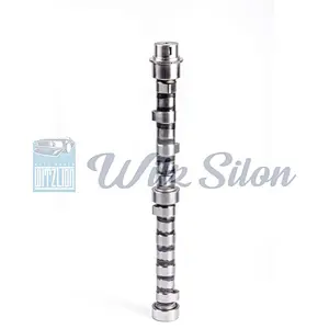 OEMNO 6207 41 1111 4D94 4D95 auto parts Custom chilled cast iron camshaft assy