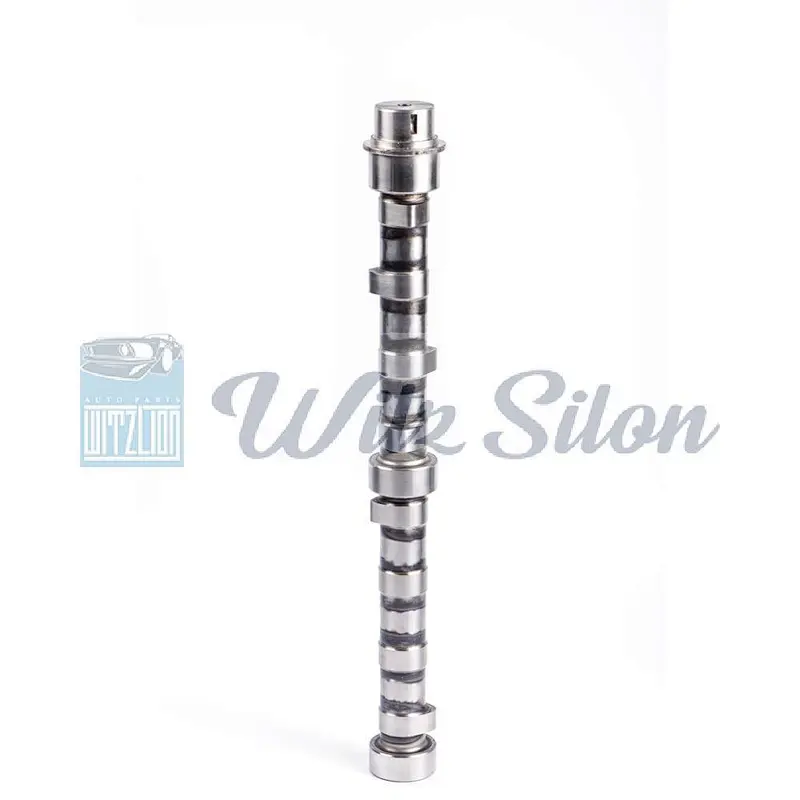 OEMNO 6207 41 1111 4D94 4D95 auto parts Custom chilled cast iron camshaft assy