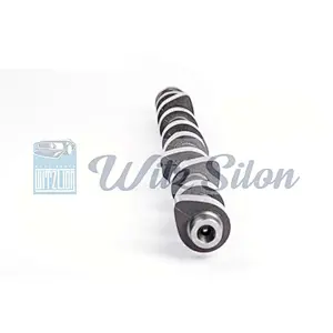 oemno ME001704 ME200691 4M40 auto engine parts Custom chilled cast iron camshaft assy