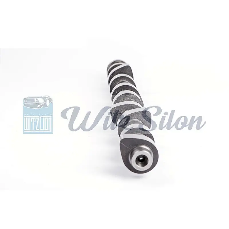 oemno ME001704 ME200691 4M40 auto engine parts Custom chilled cast iron camshaft assy