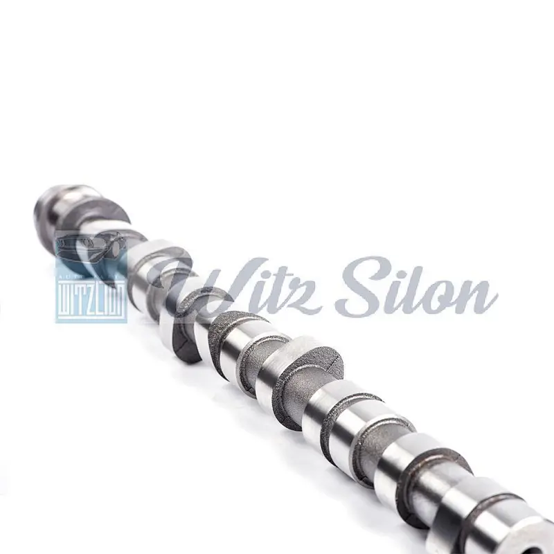 OEMNO PAJERO SHOGUN I MD-050140 MD-302333 MD-137163 4D56 L300 auto engine parts Custom chilled cast iron camshaft assy