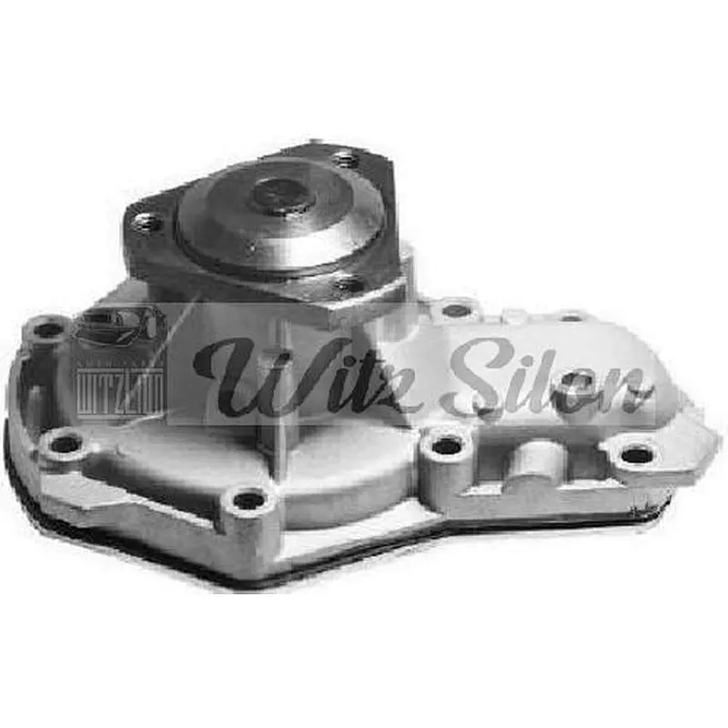 WATER PUMP 7701465513 / 7700599357 RENAULT / 21 (B48_)/(K48_)/(L48_)/ / 25 (B29_)/ / ES PACE/ / MASTER I/ / TRAFIC (TXW)/