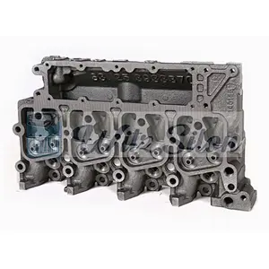4B 3920005 3966448 Bare Head