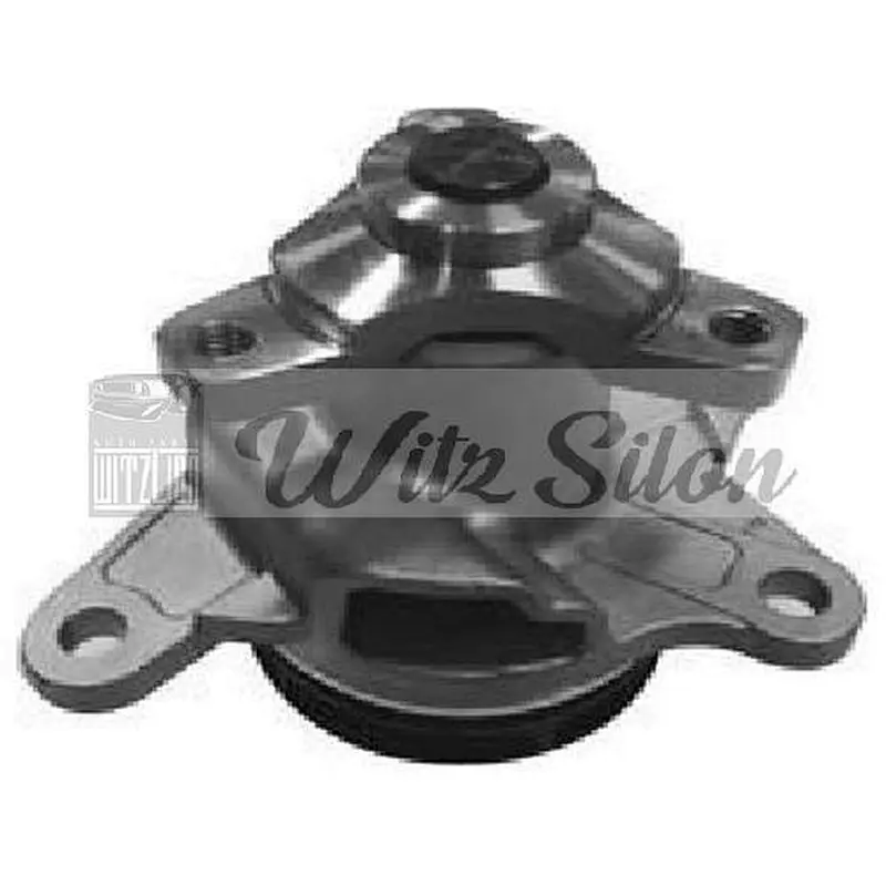 WATER PUMP 210108796R RENAULT / RENAULT Grand/