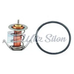 047121111P Coolant Thermostat For SKODAs SEATs VWs Fabias I Combi Saloon Felicia 047121111E