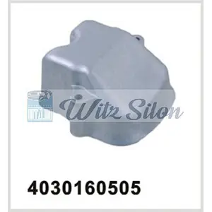 Engine Parts 4030160505 MERCEDES-BENZ