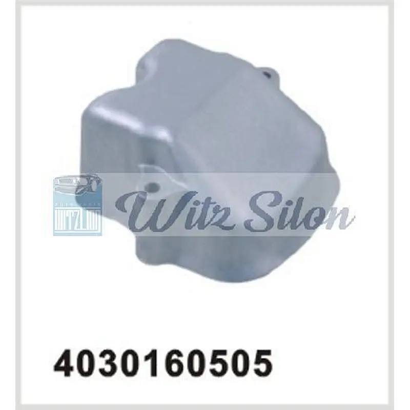 Engine Parts 4030160505 MERCEDES-BENZ