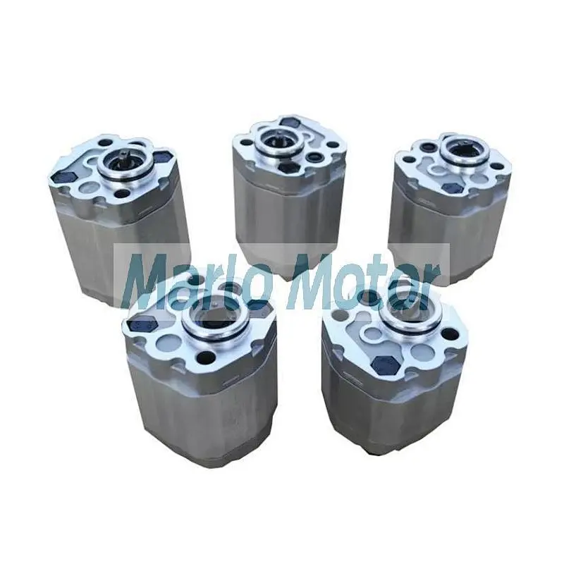 CBK of CBK-F208 CBK-F210 CBK-F212 CBK-F216 CBK-F220 CBK-F225 CBK-F230 CBK-F240 CBK-F250 CBK-F260 CBK-F280 gear oil pump